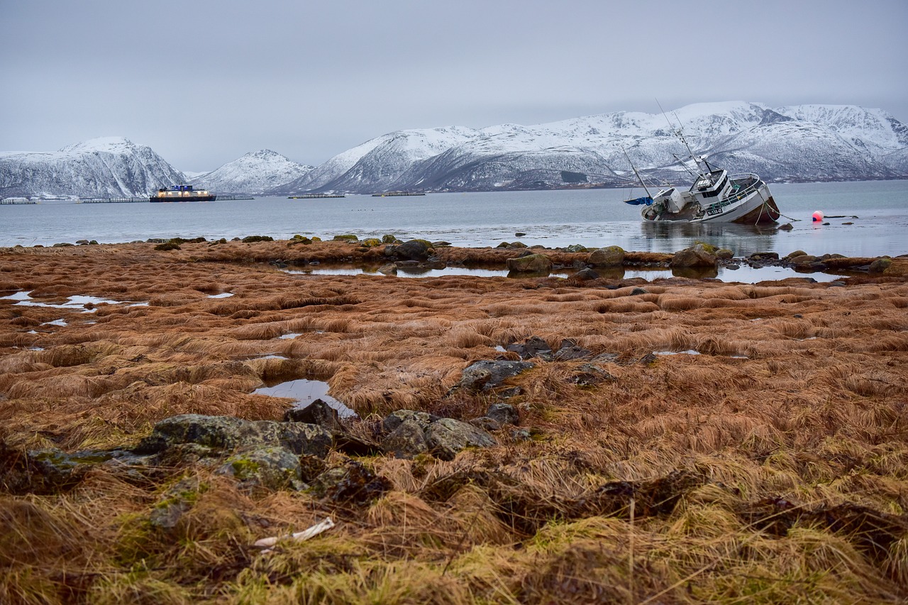 The Secret Serenity of Norway’s Lofoten Islands